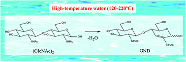 Graphical abstract: Non-catalytic dehydration of N,N′-diacetylchitobiose in high-temperature water