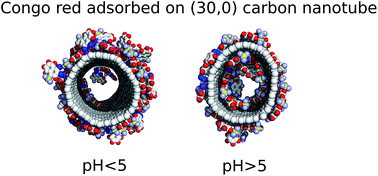 Graphical abstract: Molecular dynamics study of Congo red interaction with carbon nanotubes