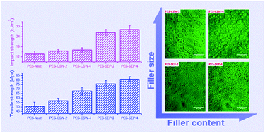 Graphical abstract: Dual effects of mesoscopic fillers on the polyethersulfone modified cyanate ester: enhanced viscoelastic effect and mechanical properties