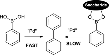 Graphical abstract: Suzuki homo-coupling reaction based fluorescent sensors for monosaccharides