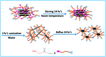 Graphical abstract: Highly concentrated MoS2 nanosheets in water achieved by thioglycolic acid as stabilizer and used as biomarkers