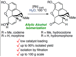 Graphical abstract: Transition metal-catalyzed redox isomerization of codeine and morphine in water