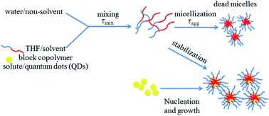 Graphical abstract: Preparation of quantum dot-embedded polymeric nanoparticles using flash nanoprecipitation