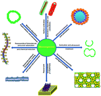 Graphical abstract: Recent advances in the synthesis of inorganic nano/microstructures using microbial biotemplates and their applications