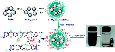 Graphical abstract: Multifunctional nanocomposite Fe3O4@SiO2–mPD/SP for selective removal of Pb(ii) and Cr(vi) from aqueous solutions