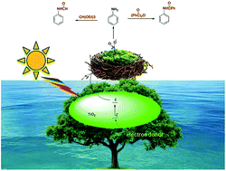 Graphical abstract: β-Cyclodextrin–TiO2: Green Nest for reduction of nitroaromatic compounds