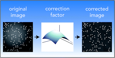 Graphical abstract: A rapid and effective vignetting correction for quantitative microscopy