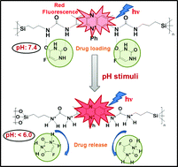 Graphical abstract: Red fluorescent hybrid mesoporous organosilicas for simultaneous cell imaging and anticancer drug delivery