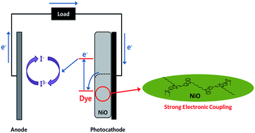 Graphical abstract: Influence of the anchoring number in a carbazole-based photosensitizer on the photovoltaic performance of p-type NiO dye sensitized solar cells