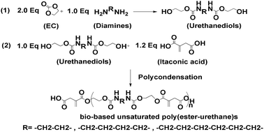 Graphical abstract: Diisocyanate free and melt polycondensation preparation of bio-based unsaturated poly(ester-urethane)s and their properties as UV curable coating materials