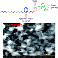 Graphical abstract: Thermotropic gelation induced changes in micropolarity and microviscosity of hydrogel derived from glucose-triazole-hydrogenated cardanol conjugate: a study using fluorescent molecular probe
