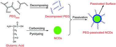 Graphical abstract: One-step hydrothermal synthesis and optical properties of PEG-passivated nitrogen-doped carbon dots