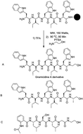 Graphical abstract: Microwave assisted chemoselective organocatalytic peptide alcohol synthesis from C-terminal amide