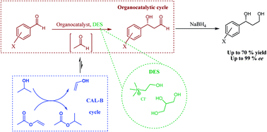 Graphical abstract: Highly enantioselective tandem enzyme–organocatalyst crossed aldol reactions with acetaldehyde in deep-eutectic-solvents