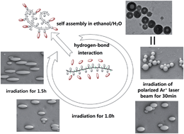 Graphical abstract: Photoinduced deformation of hollow nanospheres formed by the self-assembly of amphiphilic random copolymers and small azo molecules