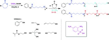 Graphical abstract: 2,4-Dinitrobenzenesulfonic acid in an efficient Brønsted acid-catalyzed controlled/living ring-opening polymerization of ε-caprolactone