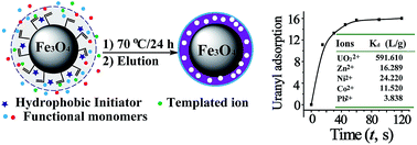 Graphical abstract: Synthesis of surface ion-imprinted magnetic microspheres by locating polymerization for rapid and selective separation of uranium(vi)