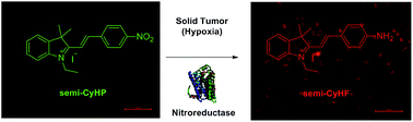 Graphical abstract: A highly selective turn-on fluorescent probe based on semi-cyanine for the detection of nitroreductase and hypoxic tumor cell imaging