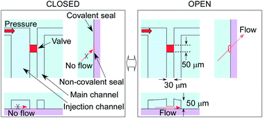 Graphical abstract: Simple bilayer on-chip valves using reversible sealability of PDMS