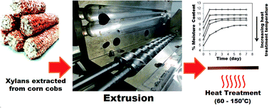 Graphical abstract: Post-extrusion heat-treatment as a facile method to enhance the mechanical properties of extruded xylan-based polymeric materials