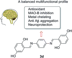 Graphical abstract: Design of a structural framework with potential use to develop balanced multifunctional agents against Alzheimer's disease