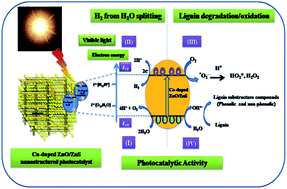 Graphical abstract: A green process for efficient lignin (biomass) degradation and hydrogen production via water splitting using nanostructured C, N, S-doped ZnO under solar light