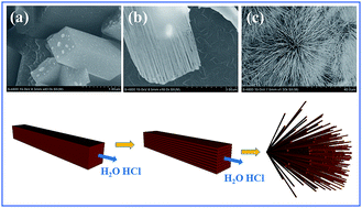 Graphical abstract: Synthesis and properties of single crystal TbMn2O5 nanostructures