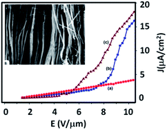 Graphical abstract: Silicon nanowires prepared by metal induced etching (MIE): good field emitters