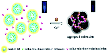 Graphical abstract: Synthesis of photoluminescent carbon dots for the detection of cobalt ions