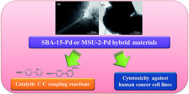 Graphical abstract: Dual application of Pd nanoparticles supported on mesoporous silica SBA-15 and MSU-2: supported catalysts for C–C coupling reactions and cytotoxic agents against human cancer cell lines