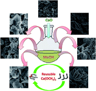 Graphical abstract: Hydrothermal effect on synthesis, characterization and catalytic properties of calcium methoxide for biodiesel production from crude Jatropha curcas