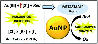 Graphical abstract: Gold nucleation inhibition by halide ions: a basis for a seed-mediated approach
