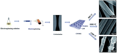 Graphical abstract: Growth mechanism of bioglass nanoparticles in polyacrylonitrile-based carbon nanofibers