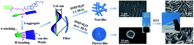 Graphical abstract: Water tuned nano/micro-structures in a redox-responsive supramolecular gel