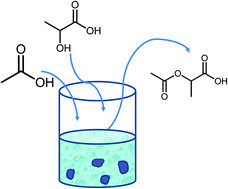 Graphical abstract: Catalytic acetoxylation of lactic acid to 2-acetoxypropionic acid, en route to acrylic acid