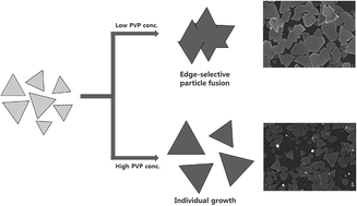 Graphical abstract: Growth pathways of silver nanoplates in kinetically controlled synthesis: bimodal versus unimodal growth