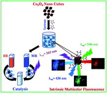 Graphical abstract: Surface chemistry modulated introduction of multifunctionality within Co3O4 nanocubes