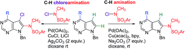 Graphical abstract: Direct C–H amination and C–H chloroamination of 7-deazapurines
