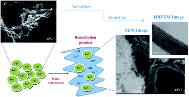 Graphical abstract: Highly organized nanofiber formation from zero valent iron nanoparticles after cadmium water remediation