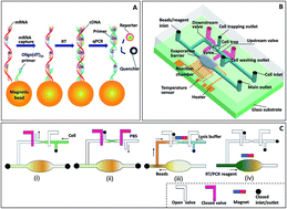 Graphical abstract: A bead-based microfluidic approach to integrated single-cell gene expression analysis by quantitative RT-PCR
