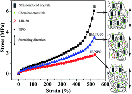 Graphical abstract: Effects of plasticizers on the strain-induced crystallization and mechanical properties of natural rubber and synthetic polyisoprene