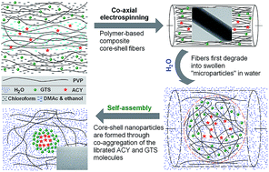 Graphical abstract: Structural lipid nanoparticles self-assembled from electrospun core–shell polymeric nanocomposites