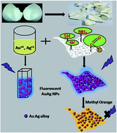 Graphical abstract: Water soluble blue-emitting AuAg alloy nanoparticles and fluorescent solid platforms for removal of dyes from water