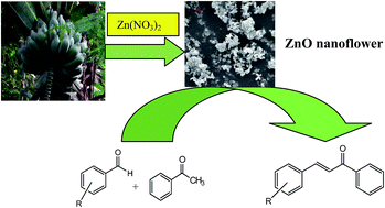Graphical abstract: Bio-derived ZnO nanoflower: a highly efficient catalyst for the synthesis of chalcone derivatives