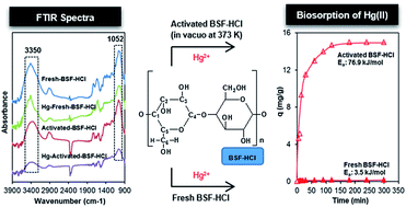 Graphical abstract: Acid-vacuo heat treated low cost banana stems fiber for efficient biosorption of Hg(ii)