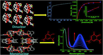 Graphical abstract: Structure, magnetism and catecholase activity of the first dicopper(ii) complex having a single μ-alkoxo bridge