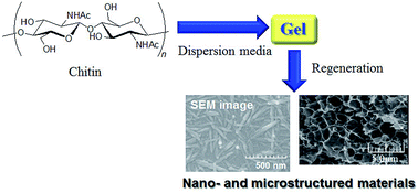 Graphical abstract: Fabrication of nanostructured and microstructured chitin materials through gelation with suitable dispersion media