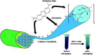Graphical abstract: Cellulose nanofibrils: a rapid adsorbent for the removal of methylene blue