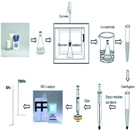 Graphical abstract: Simultaneous extraction of bisphenol A and tetrabromobisphenol A from milk by microwave-assisted ionic liquid microextraction