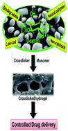 Graphical abstract: Modified biopolymer-dextrin based crosslinked hydrogels: application in controlled drug delivery